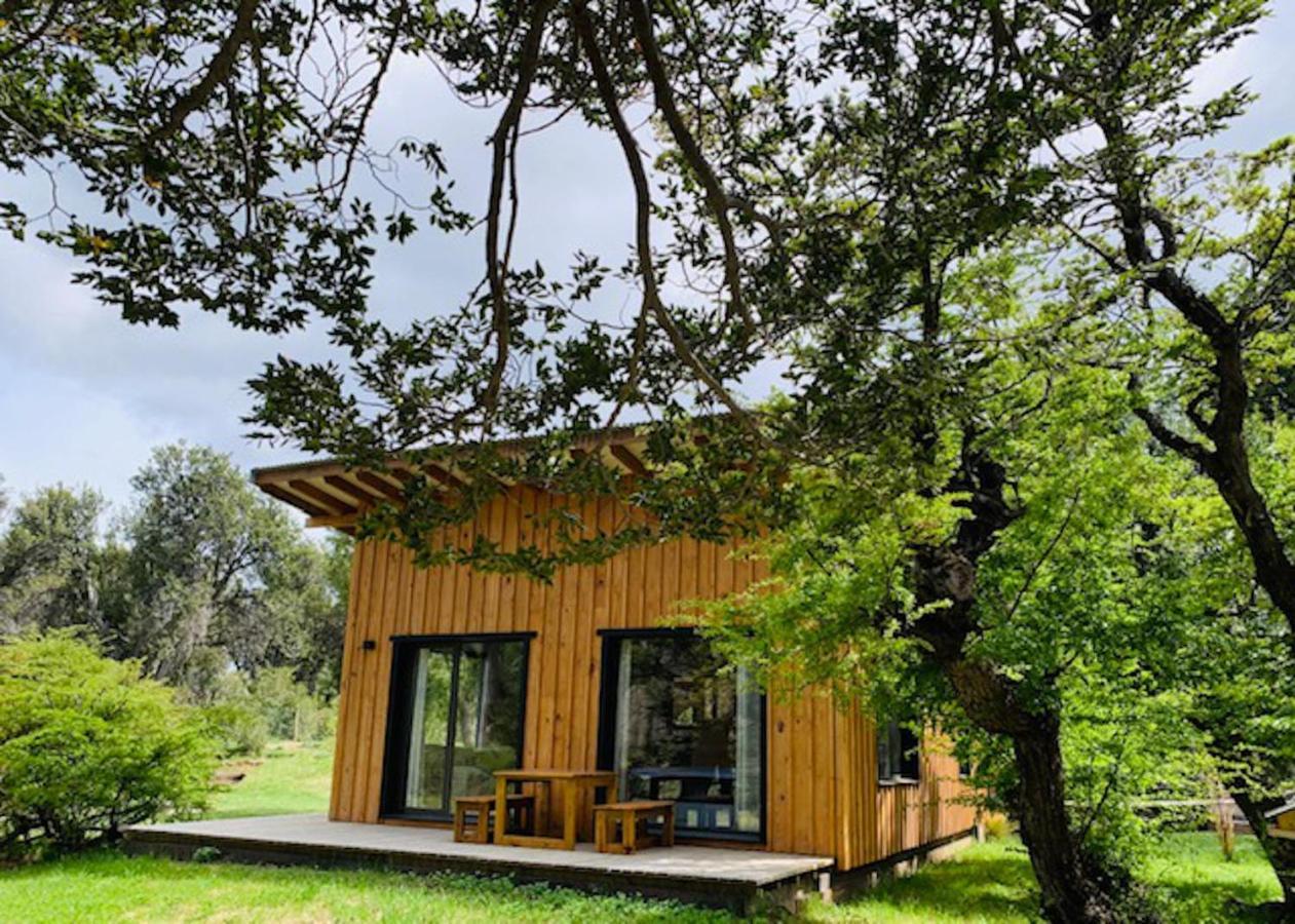 Kingfisher De Los Andes Villa Meliquina Luaran gambar