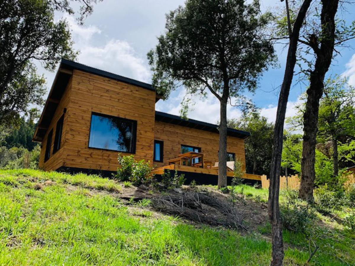 Kingfisher De Los Andes Villa Meliquina Luaran gambar