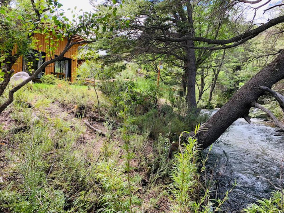 Kingfisher De Los Andes Villa Meliquina Luaran gambar