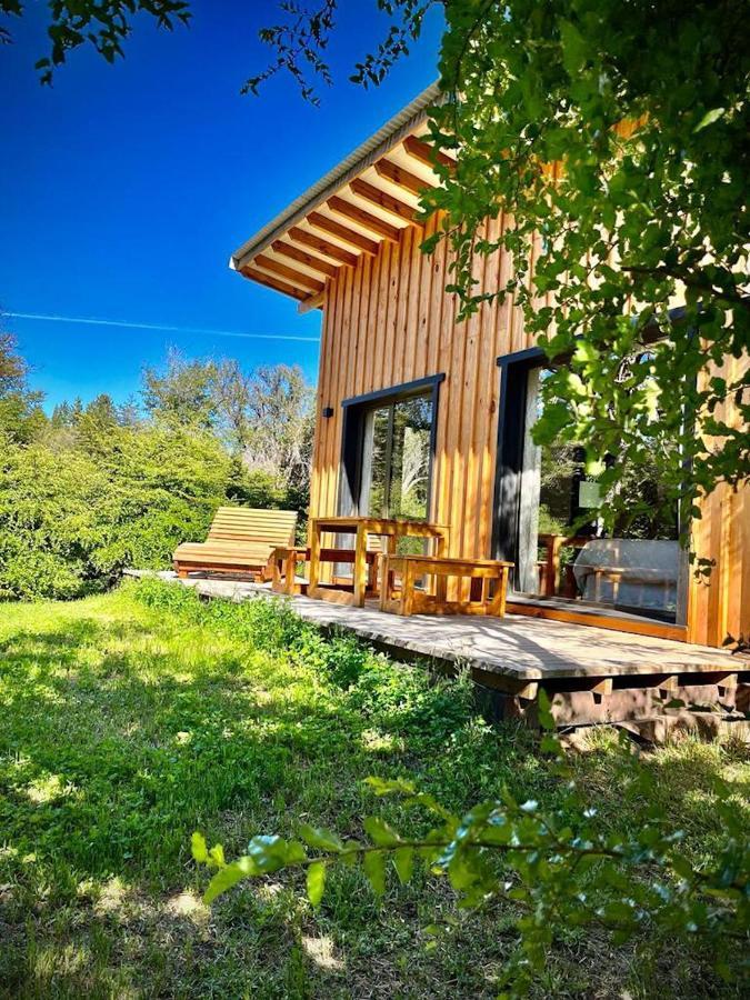Kingfisher De Los Andes Villa Meliquina Luaran gambar